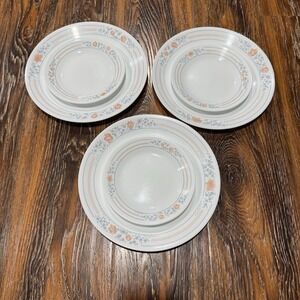 Corelle Apricot Grove Dinner Plates SET of THREE 10.25 In By Corning & 3 Dessert
